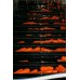 OHAKUNE CARROTS  750 Gram Bag